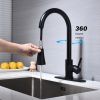 Kitchen Faucet with Pull Out Spraye