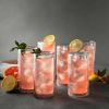 Thyme & Table 16oz Double Wall Drinking Glass, Clear